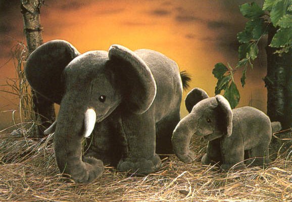Elefant Pl�schtier K�sen 1955 - Normalbild