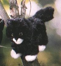 Katze klein schwarz Mohrchen Pl�schtier K�sen 2962 - Normalbild