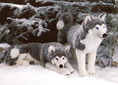 Husky stehend Pl�schtier K�sen 3860 - Normalbild