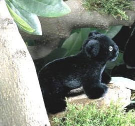 Panther Baby Rangi Pl�schtier K�sen 4470 - Normalbild
