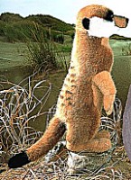 Erdm�nnchen Fritz Pl�schtier K�sen 5020 - Normalbild