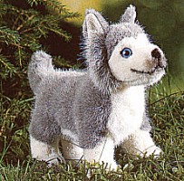Husky Welpe Pl�schtier K�sen 4080 - Normalbild