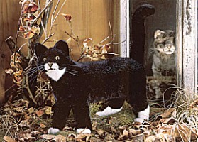 Katze stehend schwarz Mauz Pl�schtier K�sen 3960 - Normalbild