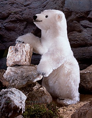 Eisb�r Schmuddel Pl�schtier K�sen 5850 - Normalbild