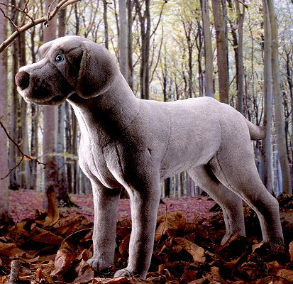 Hund Weimaraner grau Pl�schtier K�sen 5510 - Normalbild
