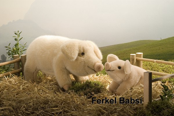Ferkel Babsi Pl�schtier K�sen 5641 - Normalbild