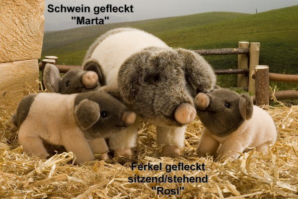 Ferkel gefleckt Rosi Pl�schtier K�sen 5640 - Normalbild