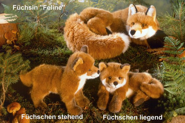 F�chschen liegend Pauline Pl�schtier K�sen 5600 - Normalbild