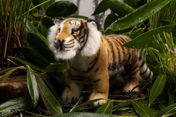 Tiger klein Kadan 33cm K�sen 5930 - Normalbild