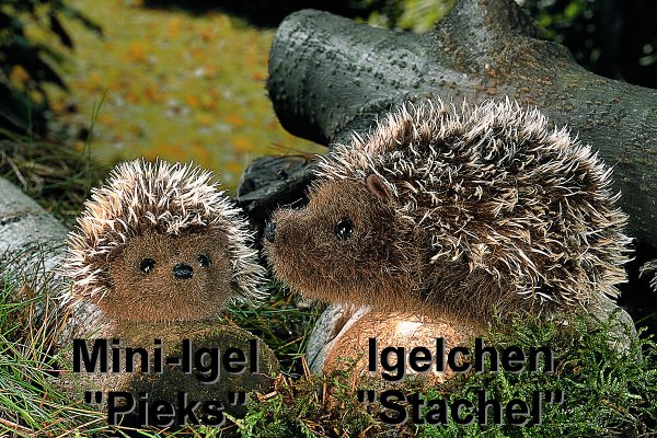 Mini-Igel Pieks K�sen 5180 - Normalbild
