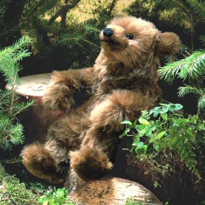 B�r Molli Pl�schtier Mohair K�sen 4853 - Normalbild