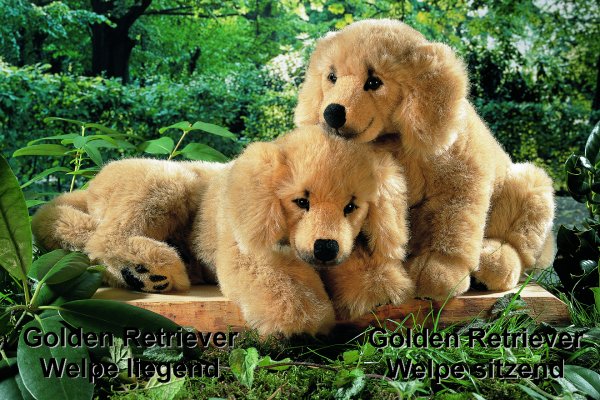 Golden Retriever Welpe sitzend Pl�schtier K�sen 5200 - Normalbild