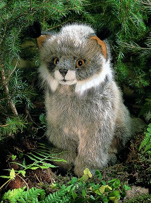 Luchs klein Juri Pl�schtier K�sen 5060 - Normalbild