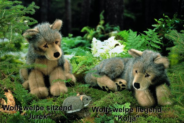Wolfswelpe sitzend Jurek Pl�schtier K�sen 5340 - Normalbild