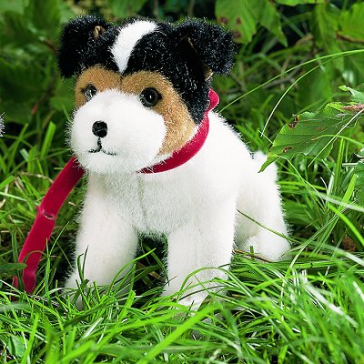 Jack-Russel-Terrier sitzend Pl�schtier K�sen 5280 - Normalbild