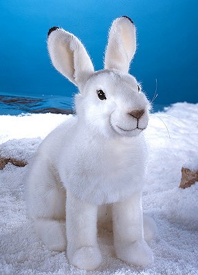 Schneehase Timmi Pl�schtier K�sen 5800 - Normalbild