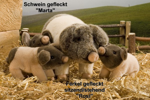 Schwein gefleckt Marta Pl�schtier K�sen 5630 - Normalbild