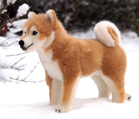Shiba Inu stehend Koro Pl�schtier K�sen 5750 - Normalbild