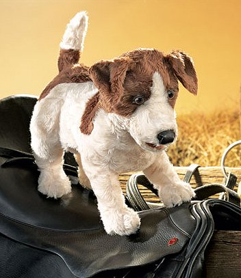 Handpuppe Jack Russel Terrier Folkmanis 2848 - Normalbild