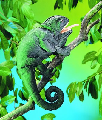 Handpuppe Cham�leon Folkmanis 2215 - Normalbild
