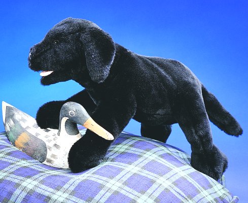 Handpuppe Labrador-Welpe schwarz Folkmanis 2274 - Normalbild