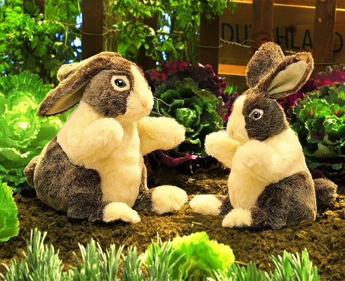 Handpuppe Holl�nder Hase Folkmanis 2568 - Normalbild