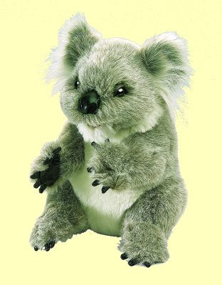 Handpuppe Koala Folkmanis 2589 - Normalbild