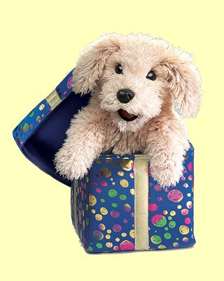 Handpuppe H�ndchen in Geschenkekiste Folkmanis 2593 - Normalbild
