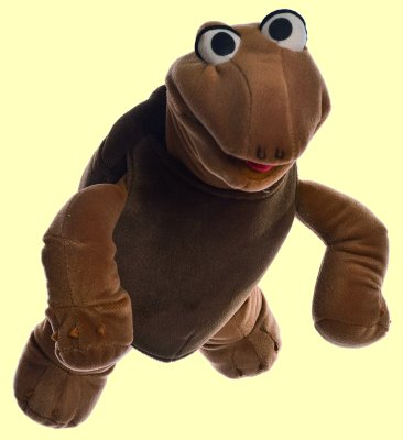 Handpuppe Sammy Schildkr�te klein Living Puppets W153 - Normalbild
