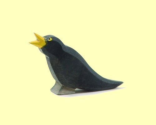 Amsel Ostheimer - Normalbild