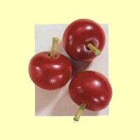 Kaufladen Tomate Haba 1346 - Normalbild