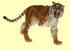 Tigerin Papo - Normalbild