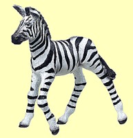 Zebrajunges Papo - Normalbild