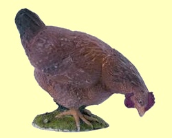 Huhn pickend Papo - Normalbild