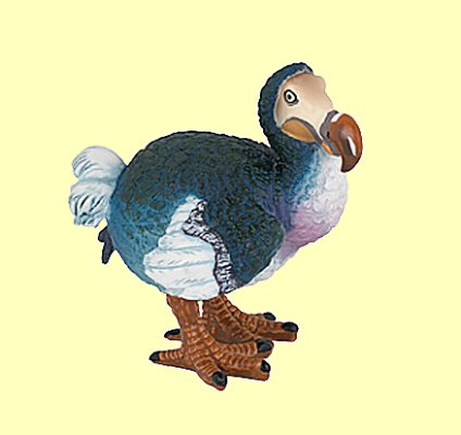 Dodo Papo - Normalbild