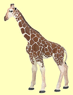 Giraffe Papo - Normalbild