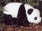 Panda Baby Pl�schtier K�sen 3200