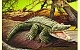 Handpuppe Alligator (Folkmanis 2130)
