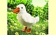 Handpuppe Kleine Ente (Folkmanis 2828)