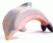 Delfin tief (Ostheimer)