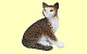 Katze sitzend Papo