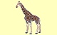 Giraffe Papo