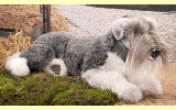 Zwergschnauzer liegend 70cm K�sen 6240