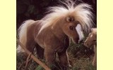 Haflinger Pl�schtier K�sen 2571