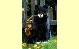 Kater Eduard Pl�schtier K�sen 3954