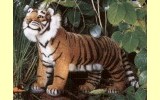 Tiger Pl�schtier K�sen 3800