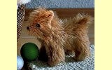 Norwich Terrier Struppi Pl�schtier Mohair K�sen 4651