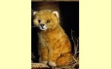Katze klein rot sitzend Tilli Pl�schtier K�sen 4481
