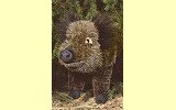 Wildschwein Berta Pl�schtier K�sen 3180