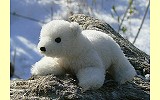 Eisb�rbaby Nurri Pl�schtier K�sen 5730